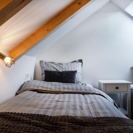 Bright & Spacious Loft In The Heart Of Old Town Ljubljana Exteriör bild