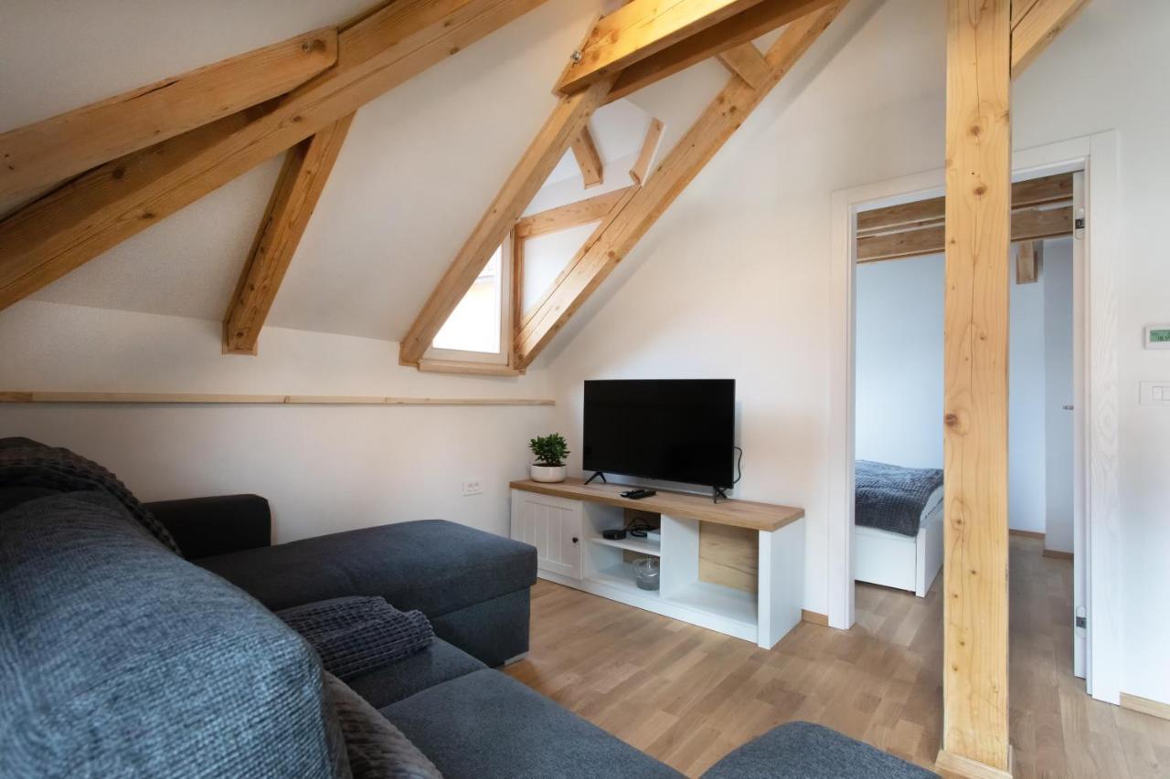 Bright & Spacious Loft In The Heart Of Old Town Ljubljana Exteriör bild