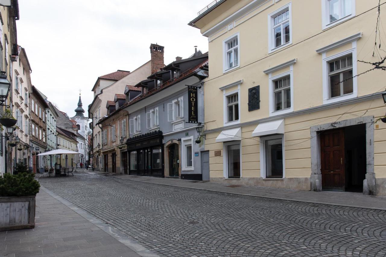 Bright & Spacious Loft In The Heart Of Old Town Ljubljana Exteriör bild